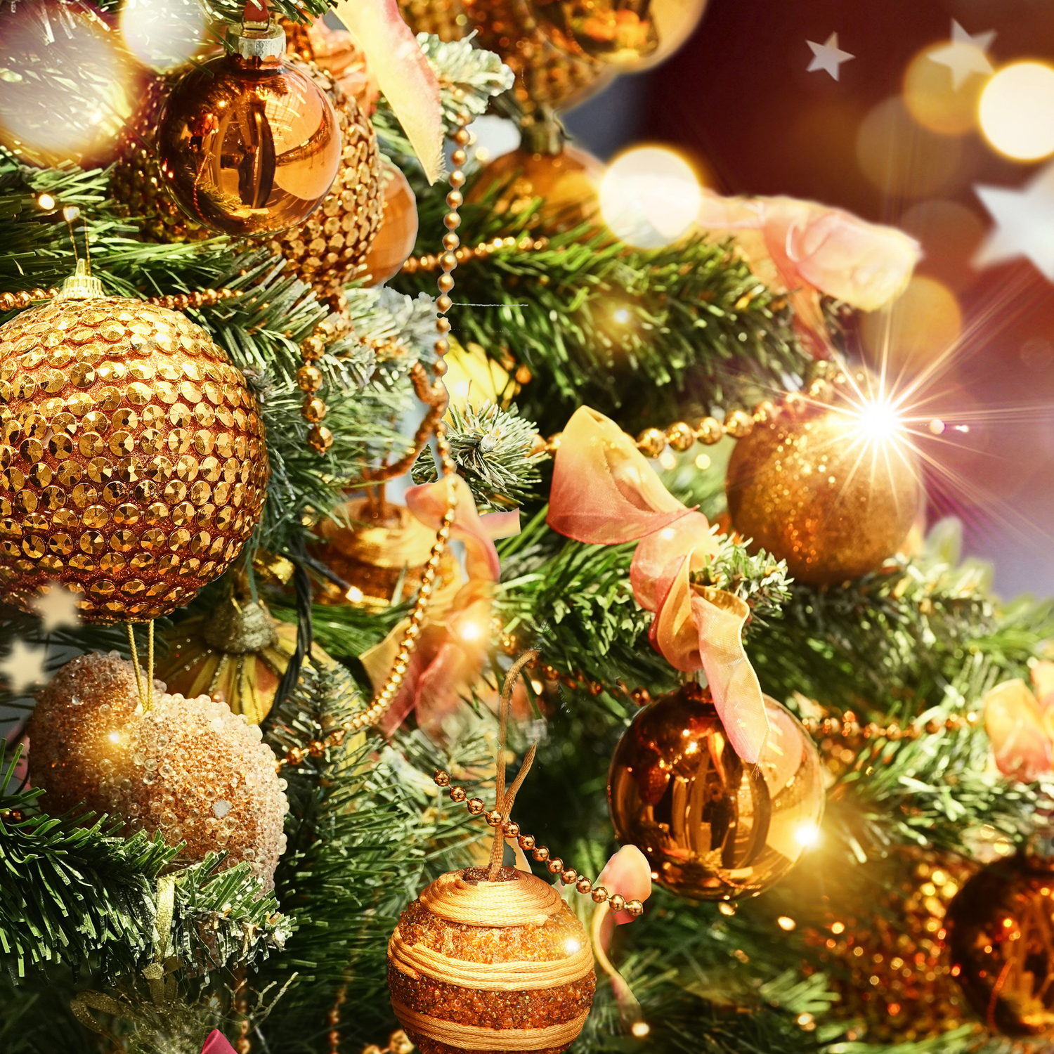 クリスマスギフトセット ~知育ならおまかせ!