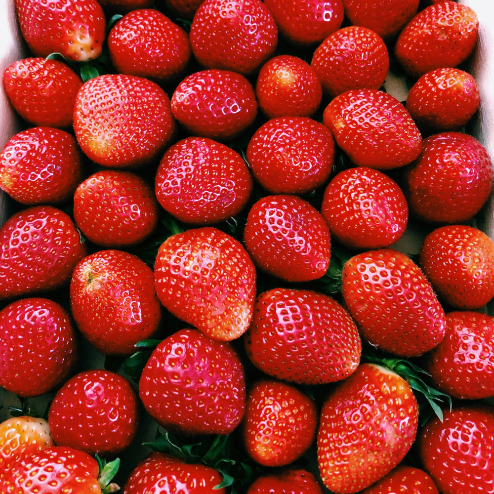 うま~な生チョコ50個入り いちごチョコレート SPECIAL!! 500円オフ