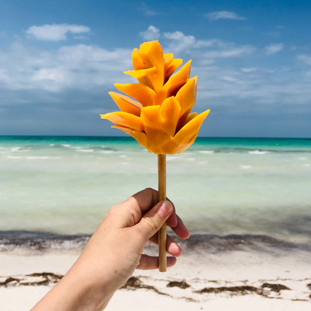 うま~な生チョコ50個入り マンゴーチョコレート SPECIAL!! 500円オフ