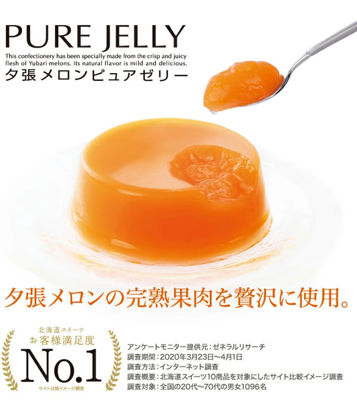 【北海道直送】 ホリ 夕張メロンピュアゼリー２５個入り HYPJ25