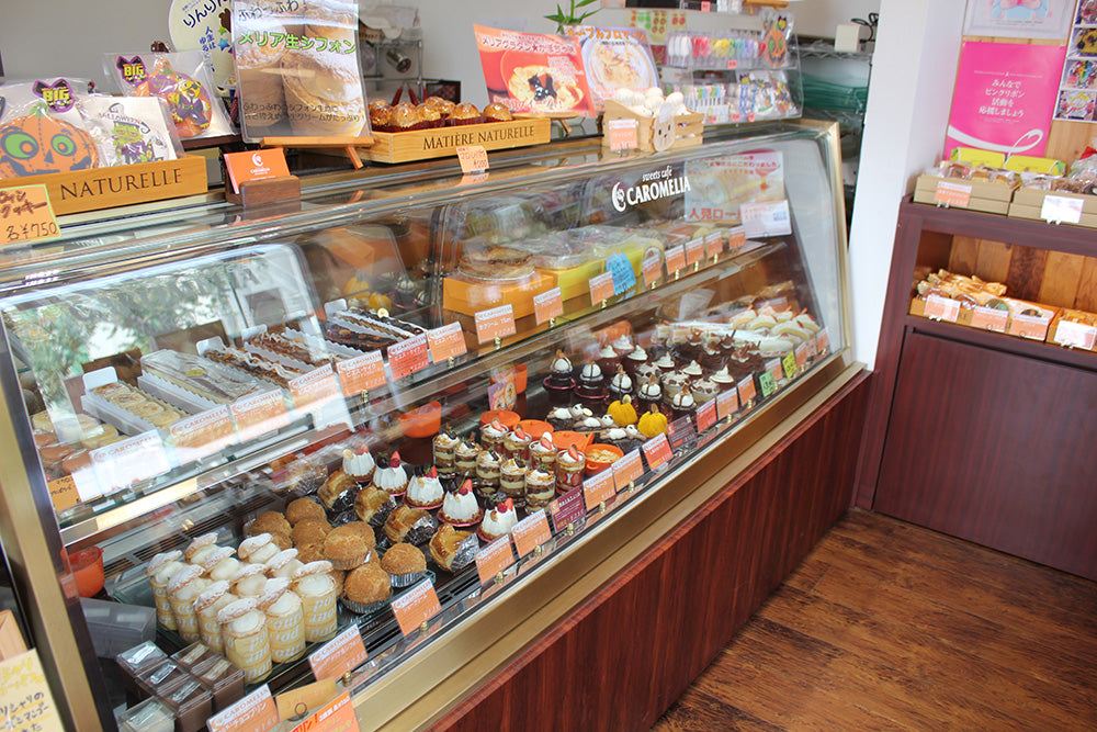 函館カロメリア・北の綿雪ドーム 4号　【送料無料】